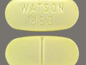 Hydrocodone 10/325 mg (Watson 853)